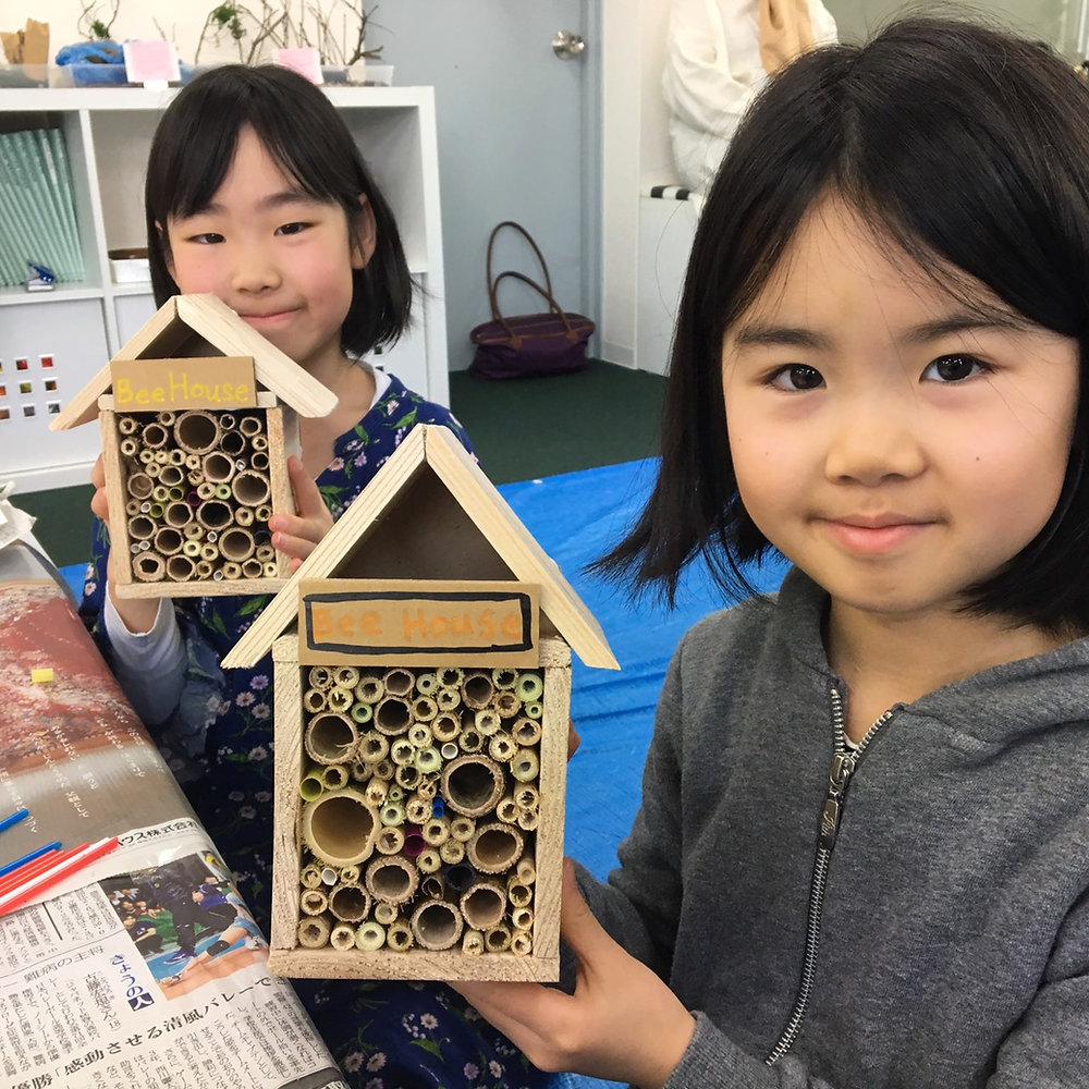 蜂について学ぼう Help the Bees of Yamagata!